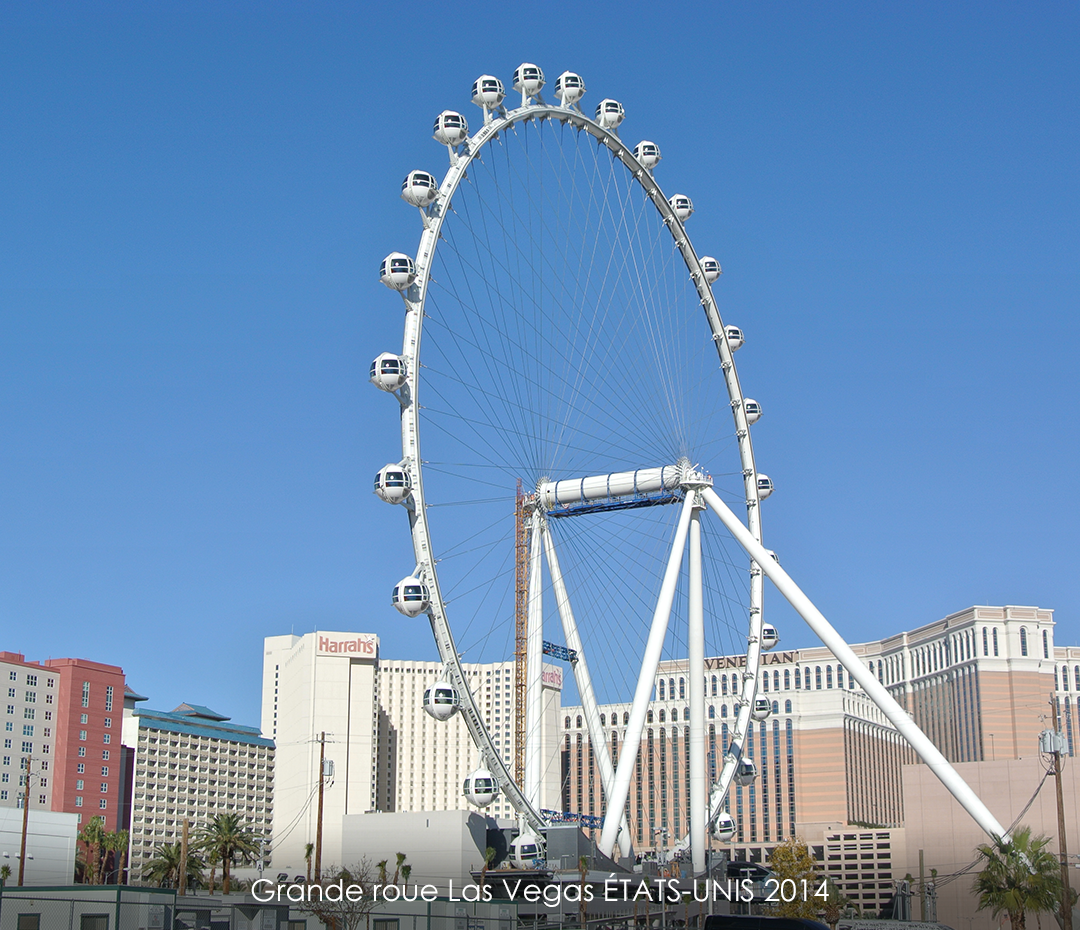 domaines-activites-entertainment-Grande-roue-Las-Vegas